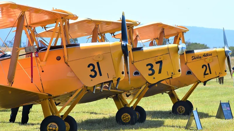Three Vintage Tiger Moth's Stood Together