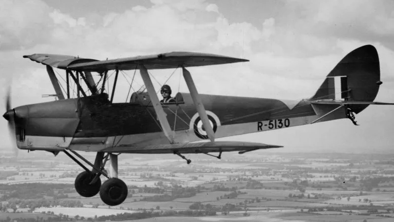 Vintage Black & White Tiger Moth Shot